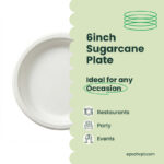 6 Inches | Sugarcane Round Plate | Eco-Friendly Disposable Plates | 1000 pcs - Image 5