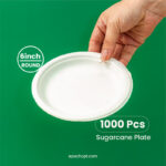 6 Inches | Sugarcane Round Plate | Eco-Friendly Disposable Plates | 1000 pcs