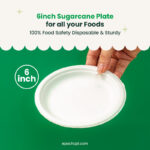 6 Inches | Sugarcane Round Plate | Eco-Friendly Disposable Plates | 1000 pcs - Image 4