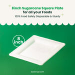 8 inches | Sugarcane Square Plates | Compostable Disposable Bowls | 500 pcs - Image 4
