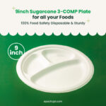 9 inches | Sugarcane 3-Compartment Bagasse Round Plate | Compostable Disposable Plates | 500 pcs - Image 3