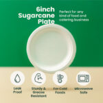 6 Inches | Sugarcane Round Plate | Eco-Friendly Disposable Plates | 1000 pcs - Image 3