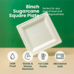8 inches | Sugarcane Square Plates | Compostable Disposable Bowls | 500 pcs - Image 3